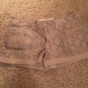 Boutique Brand denim shorts